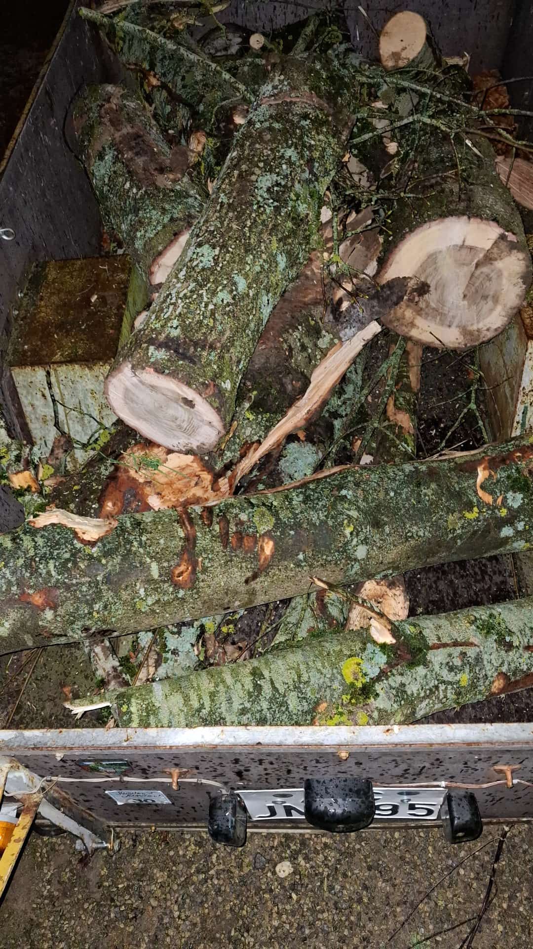 Fazit: Der Eifelyeti liefert – und ELSTI kommentiert