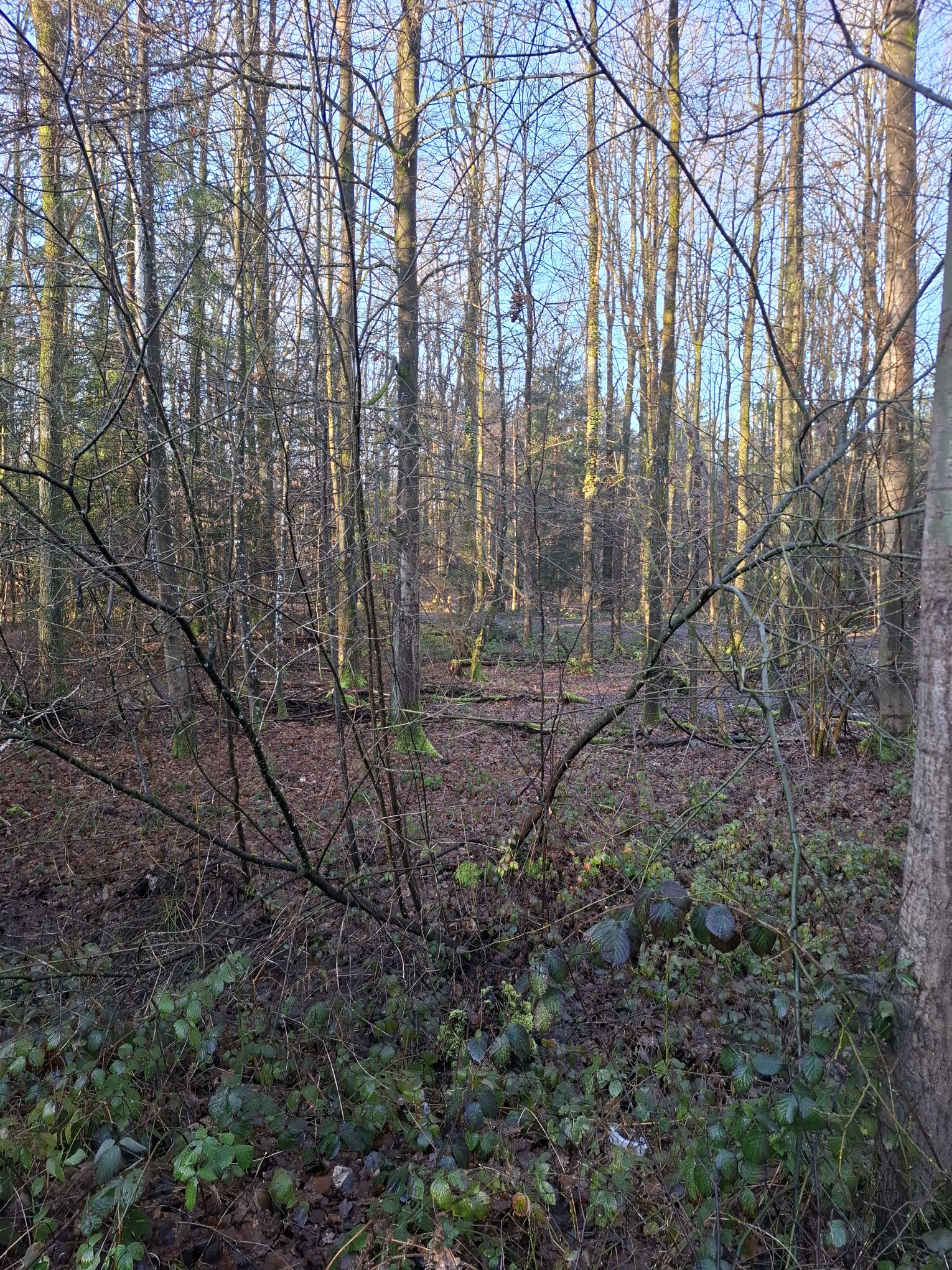 LIFE IS GREAT – Warum MARCUS WENZEL glücklich ist!